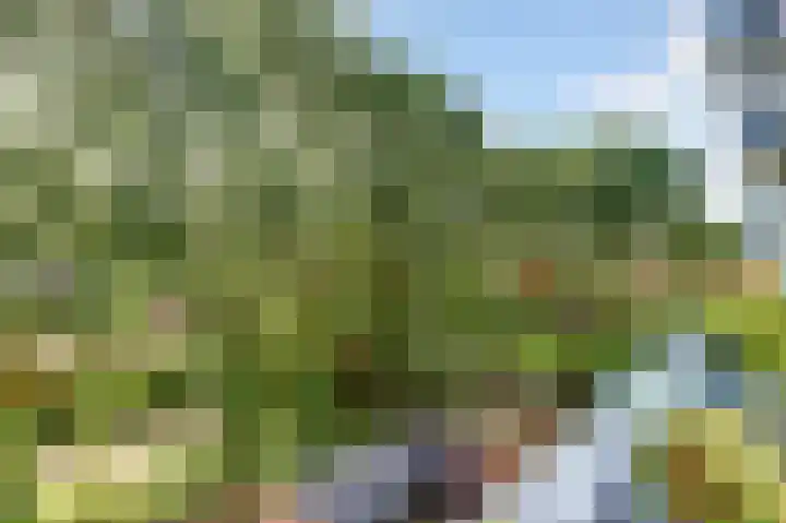 New Yorkdreef 41 Utrecht thumbnail 31