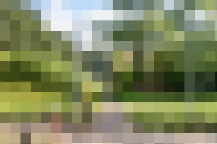 New Yorkdreef 41 Utrecht thumbnail 32