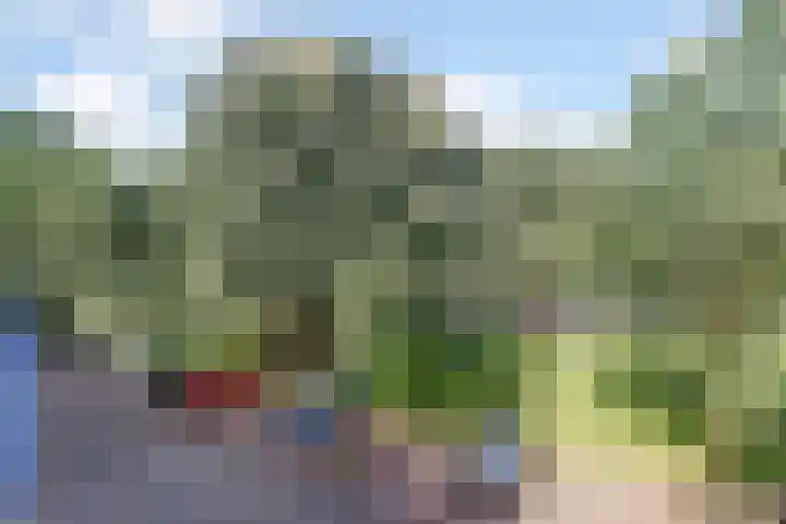 New Yorkdreef 41 Utrecht thumbnail 9