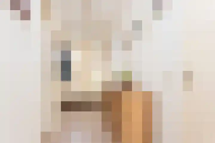 New Yorkdreef 45 Utrecht thumbnail 13