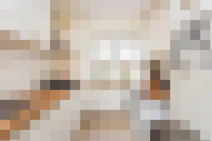 New Yorkdreef 45 Utrecht thumbnail 14