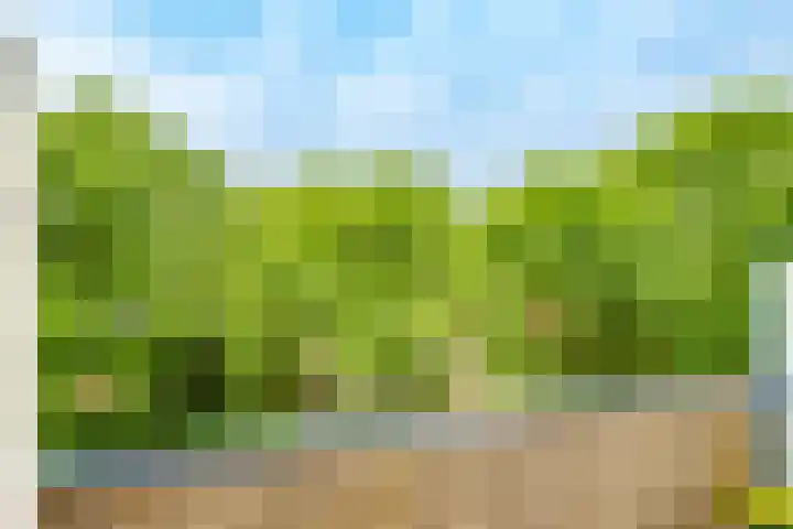 New Yorkdreef 55 Utrecht thumbnail 11