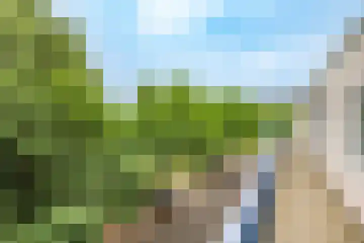 New Yorkdreef 55 Utrecht thumbnail 32