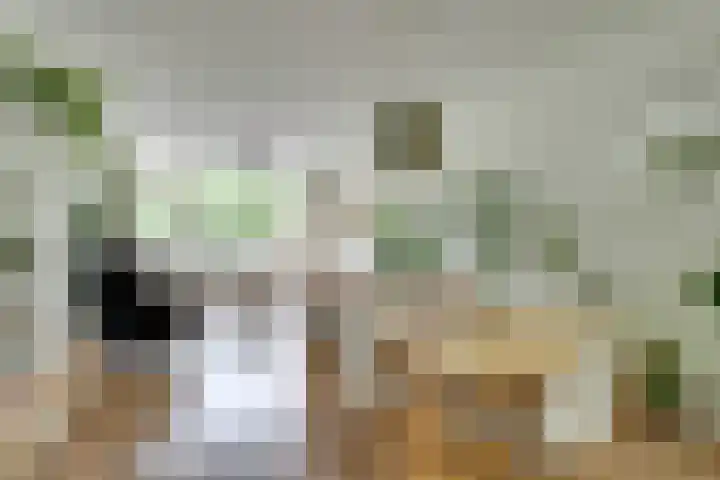 New Yorkdreef 55 Utrecht thumbnail 6