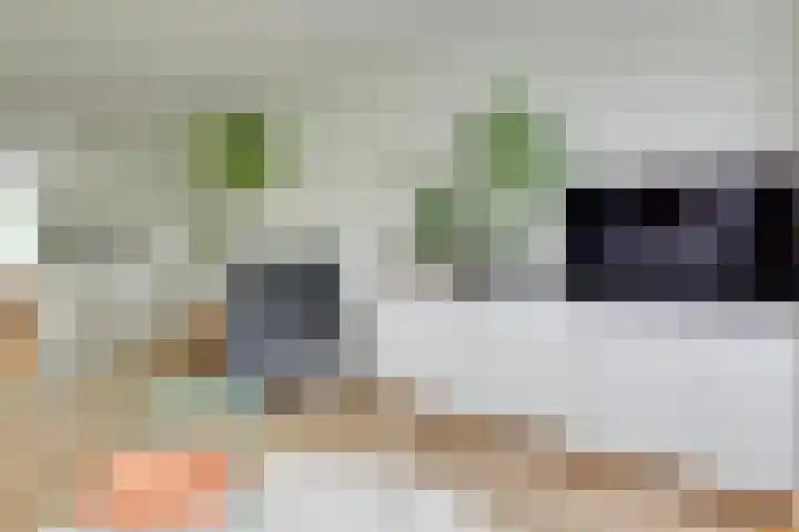 New Yorkdreef 55 Utrecht thumbnail 9