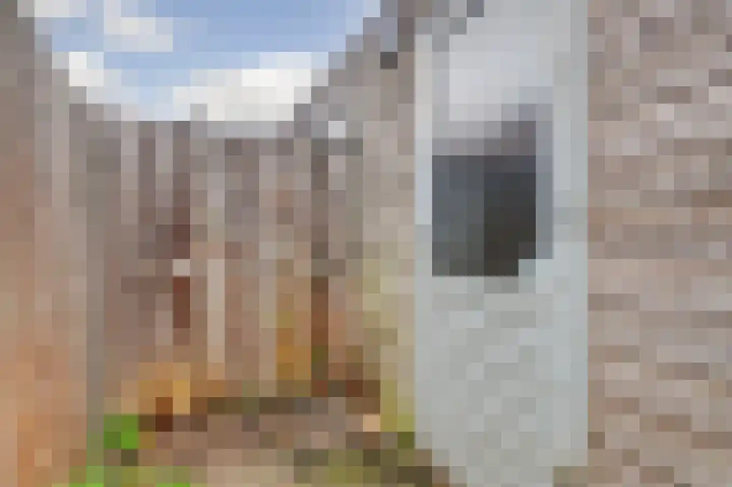 New Yorksingel 15 Den Haag thumbnail 47