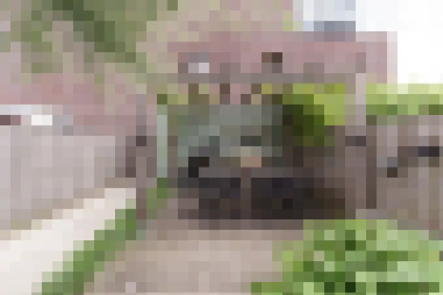 New Yorksingel 61 Den Haag thumbnail 20