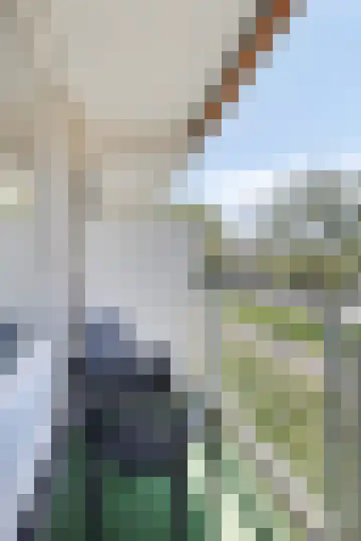 Newa 21 Amstelveen thumbnail 6