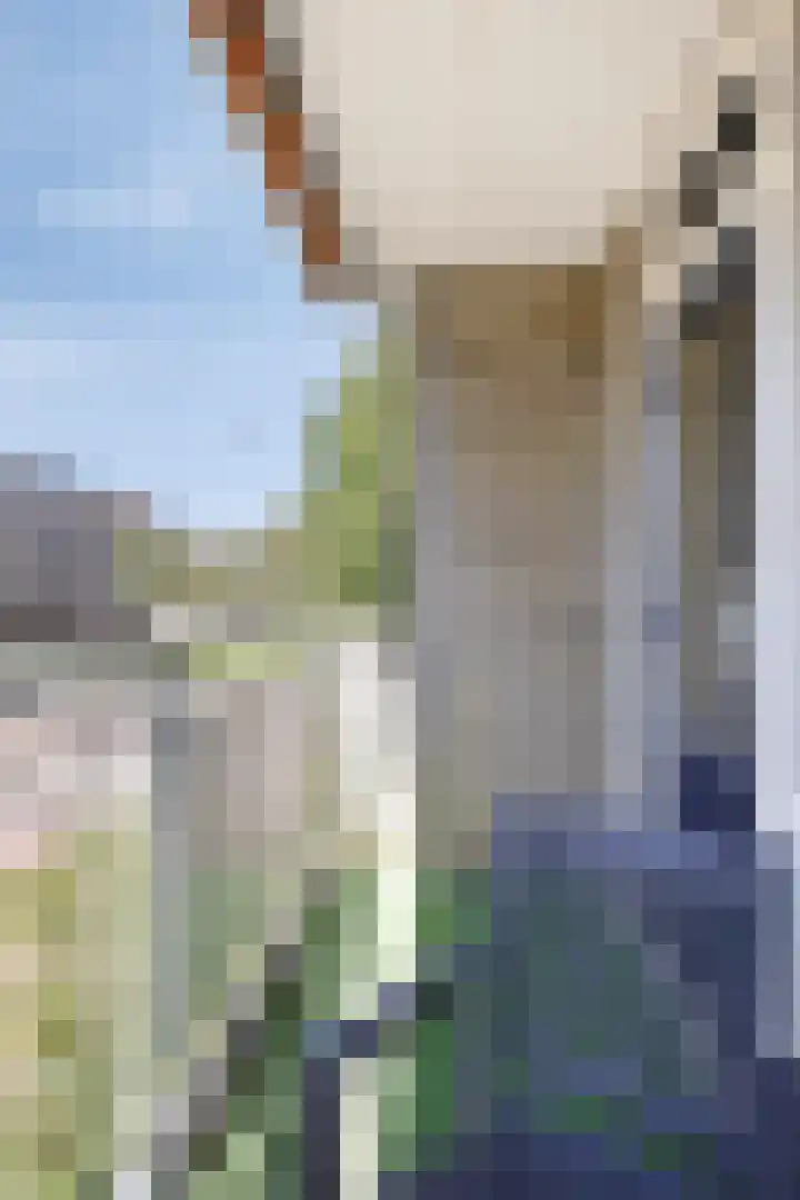Newa 21 Amstelveen thumbnail 7