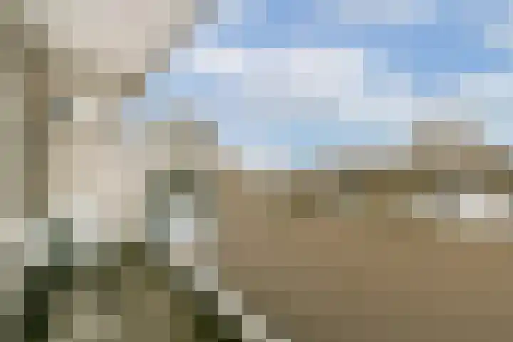 Newa 27 Amstelveen thumbnail 10