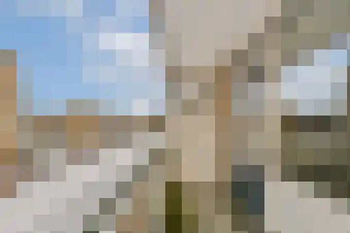 Newa 27 Amstelveen thumbnail 11