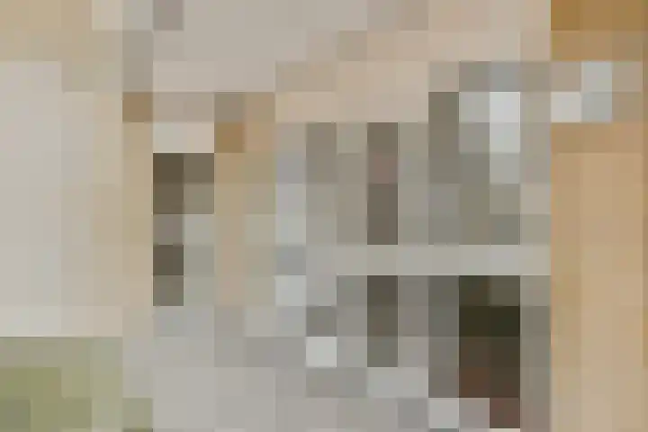 Newa 27 Amstelveen thumbnail 16