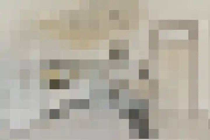 Newa 31 Amstelveen thumbnail 5