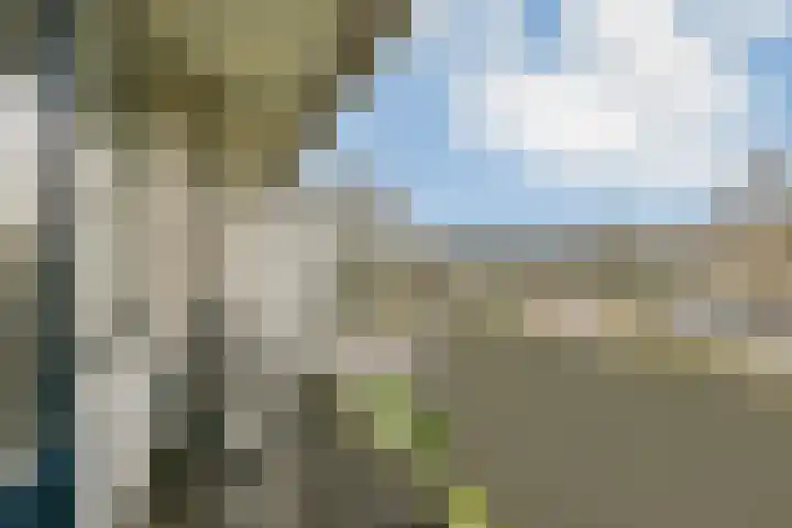 Newa 31 Amstelveen thumbnail 8