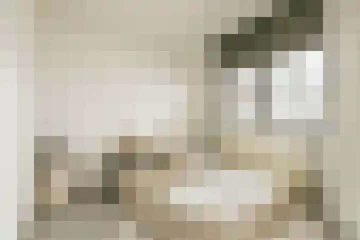 Newa 31 Amstelveen thumbnail 9