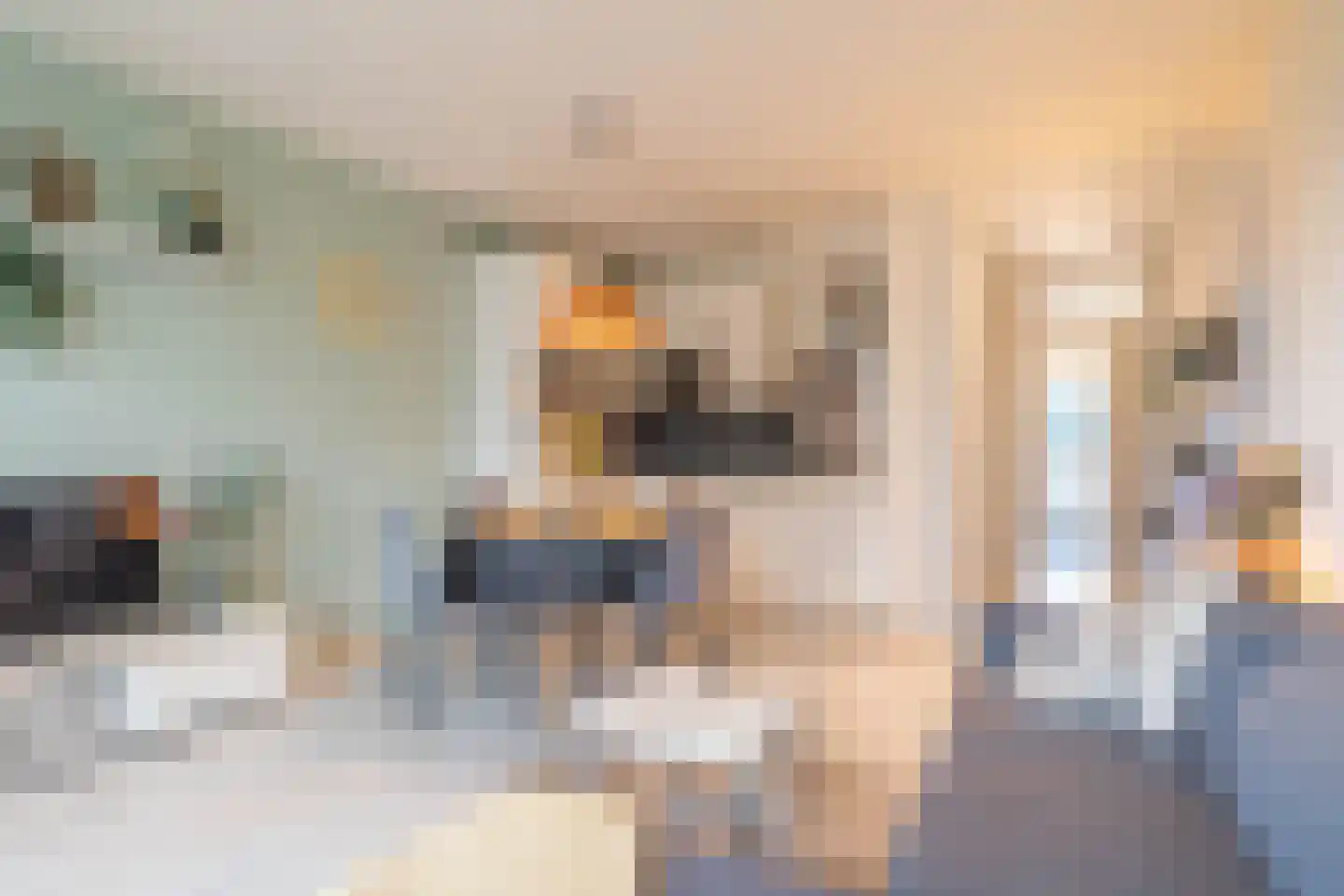 Newa 37 Amstelveen thumbnail 11