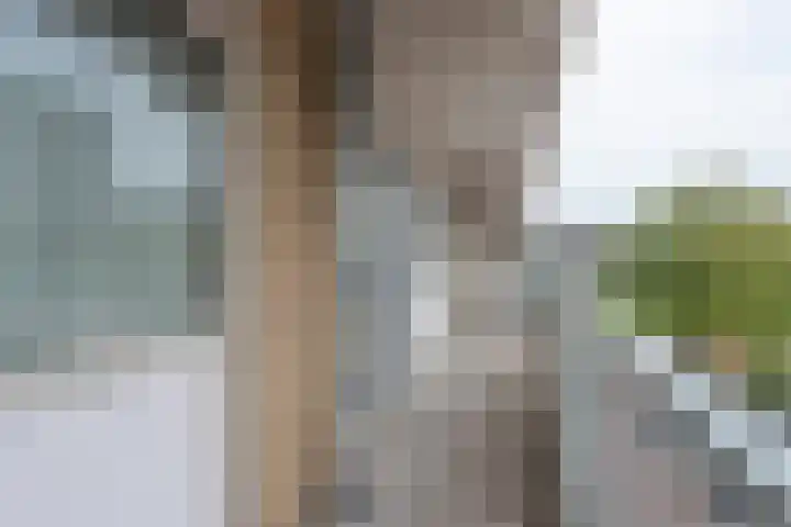 Newa 53 Amstelveen thumbnail 5