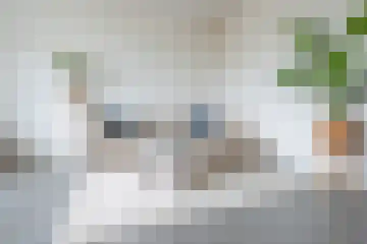 Newa 53 Amstelveen thumbnail 8