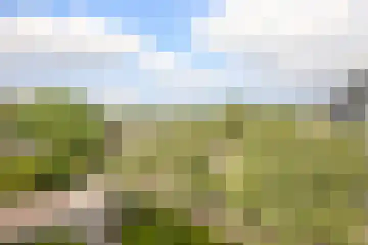 Newa 77 Amstelveen thumbnail 19