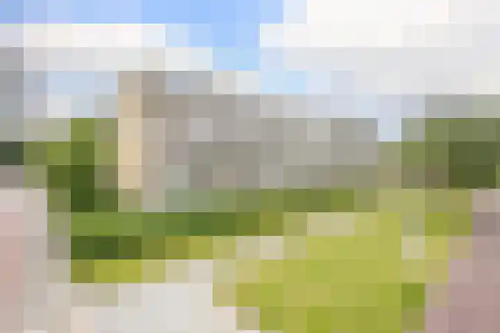 Newa 77 Amstelveen thumbnail 26