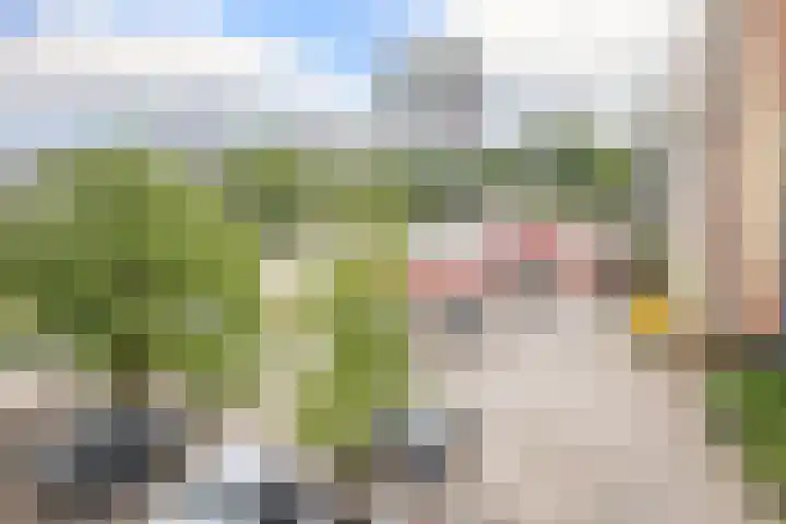 Newa 77 Amstelveen thumbnail 8