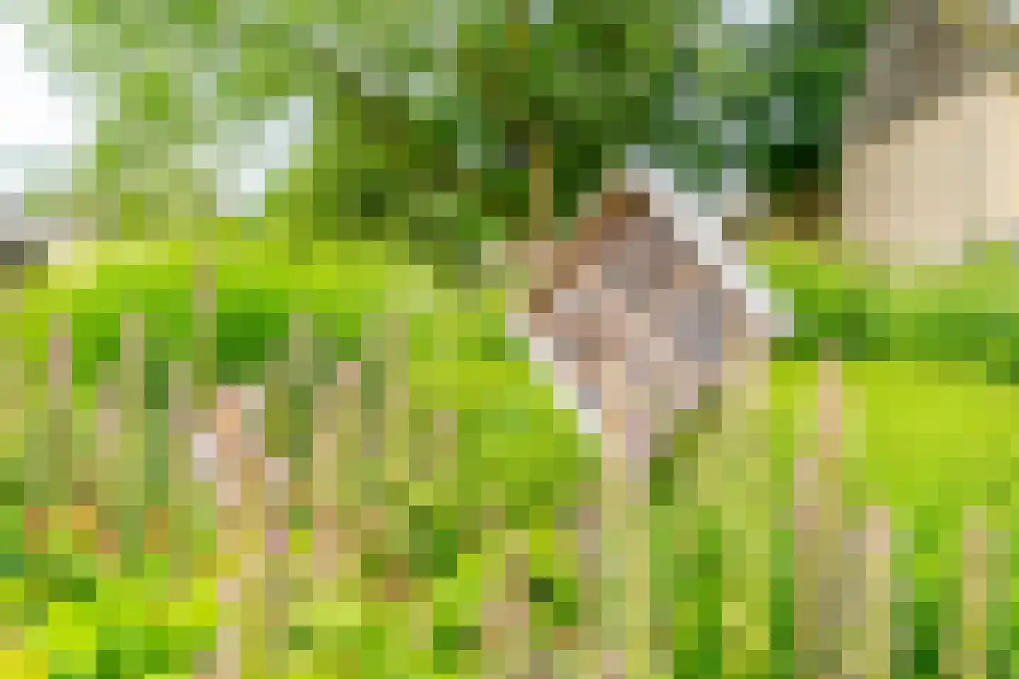 Newa 9 Amstelveen thumbnail 27