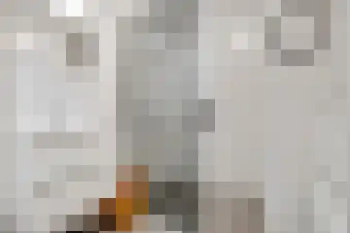 Newtonbaan 11 Nieuwegein thumbnail 27
