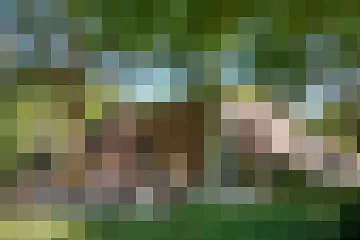 Newtonbaan 11 Nieuwegein thumbnail 35