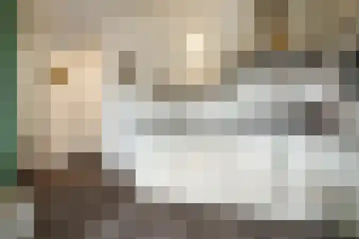 Newtonbaan 31 Nieuwegein thumbnail 13