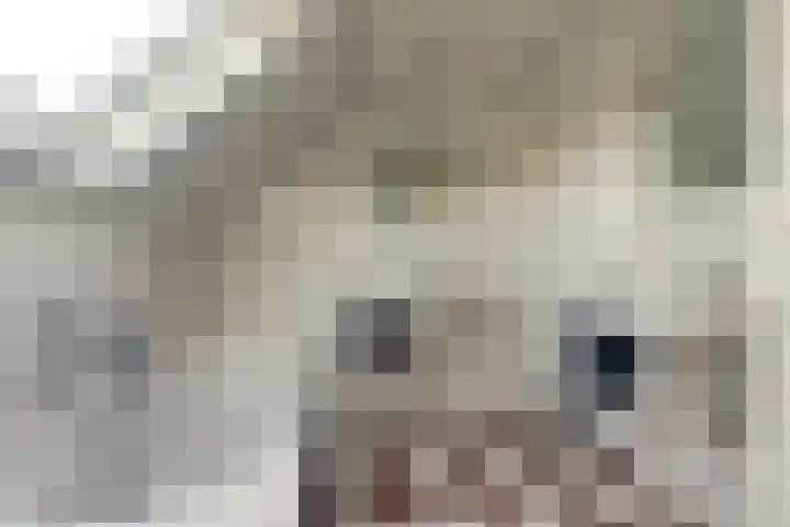 Newtonlaan 2 Vlijmen thumbnail 20