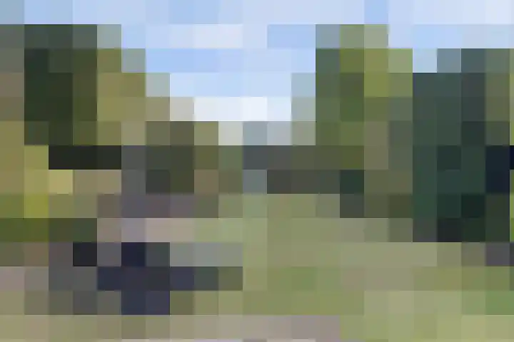 Newtonlaan 2 Vlijmen thumbnail 30