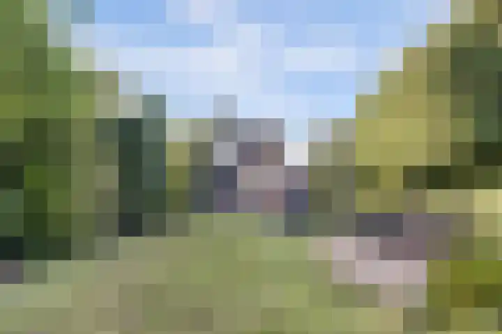 Newtonlaan 2 Vlijmen thumbnail 34