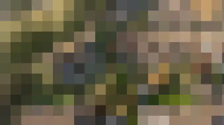 Newtonlaan 2 Vlijmen thumbnail 41