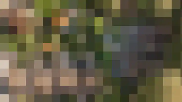 Newtonlaan 2 Vlijmen thumbnail 43