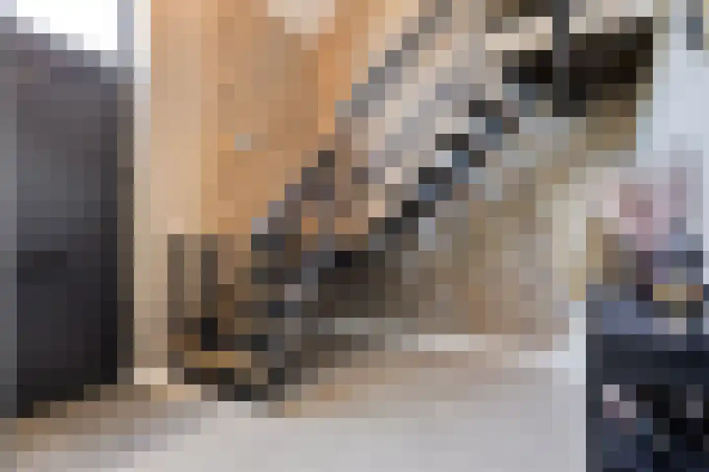 Newtonlaan 26 Kruiningen thumbnail 7