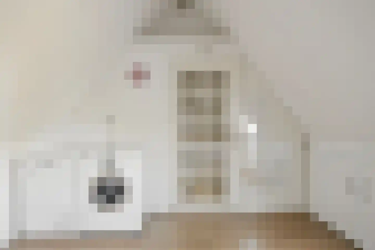 Newtonlaan 52 Vlijmen thumbnail 41