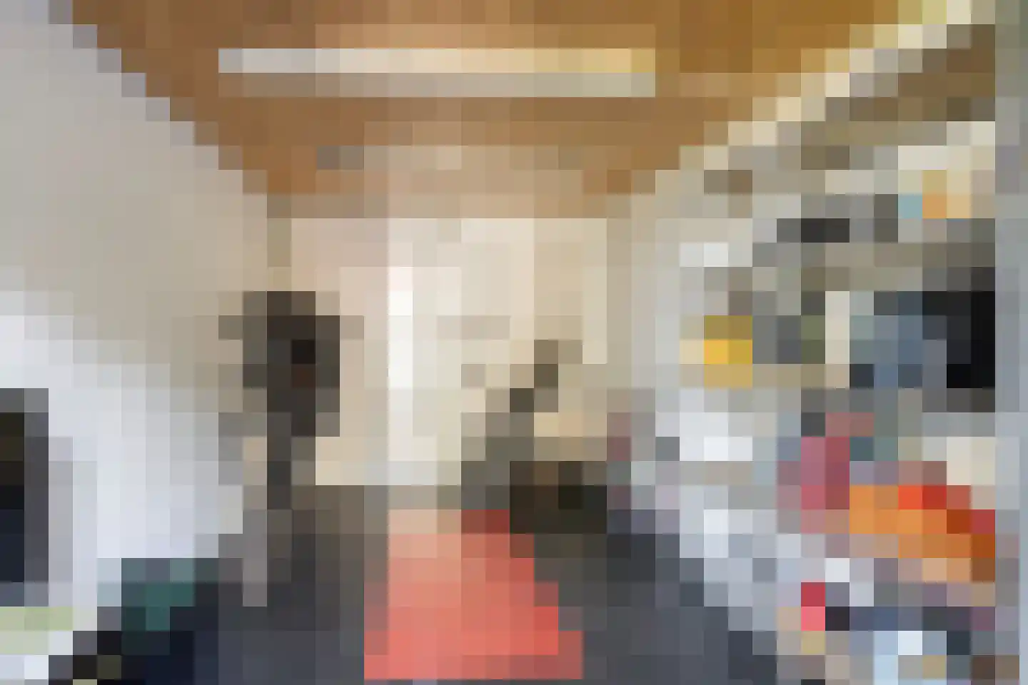 Newtonlaan 52 Vlijmen thumbnail 44