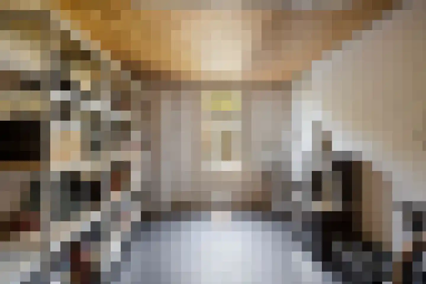 Newtonlaan 52 Vlijmen thumbnail 45