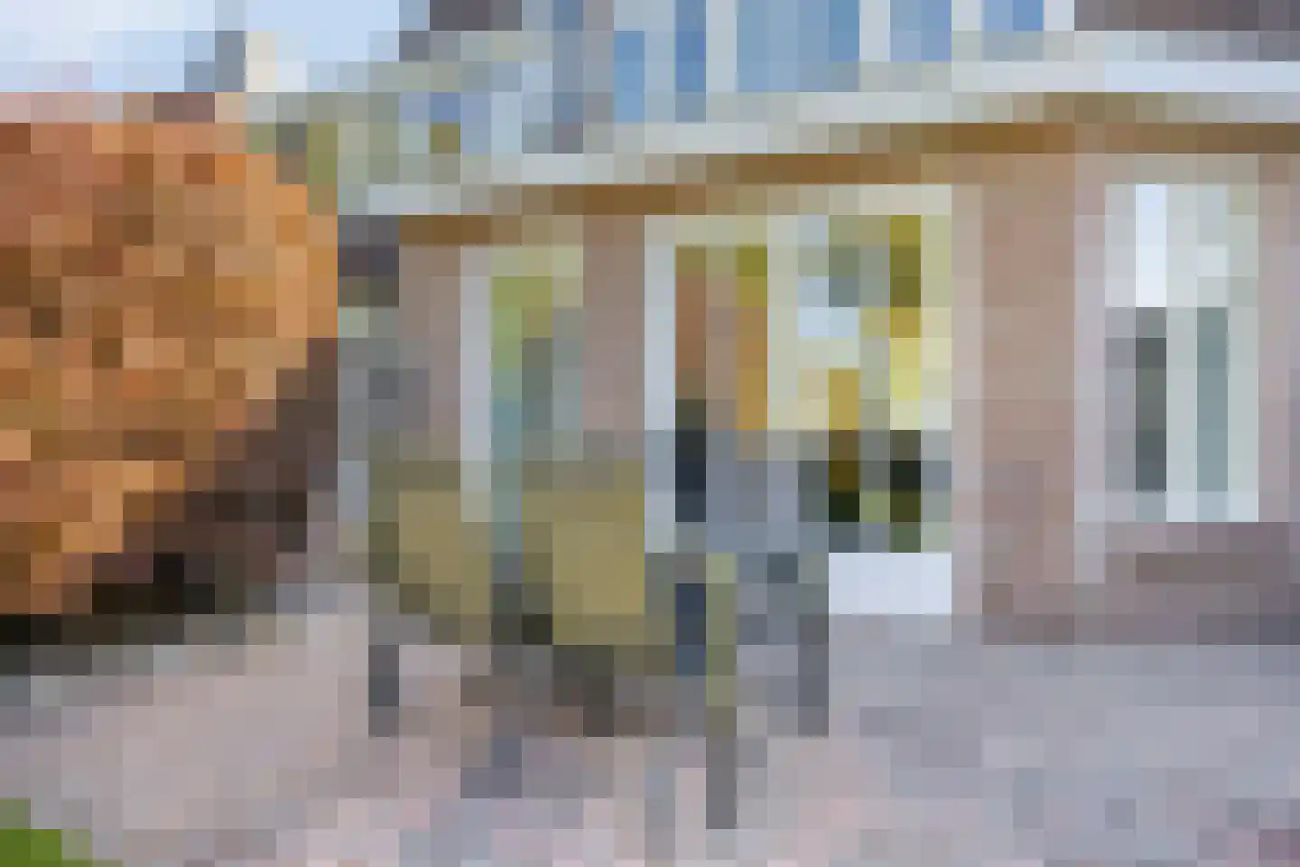 Newtonlaan 52 Vlijmen thumbnail 48