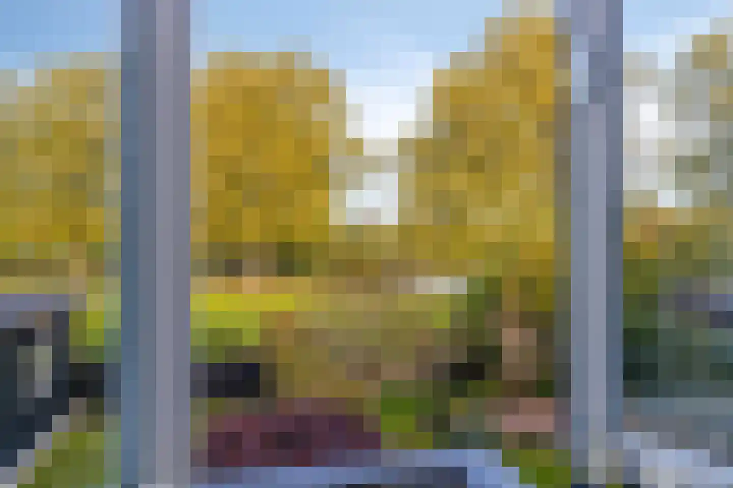 Newtonlaan 52 Vlijmen thumbnail 51
