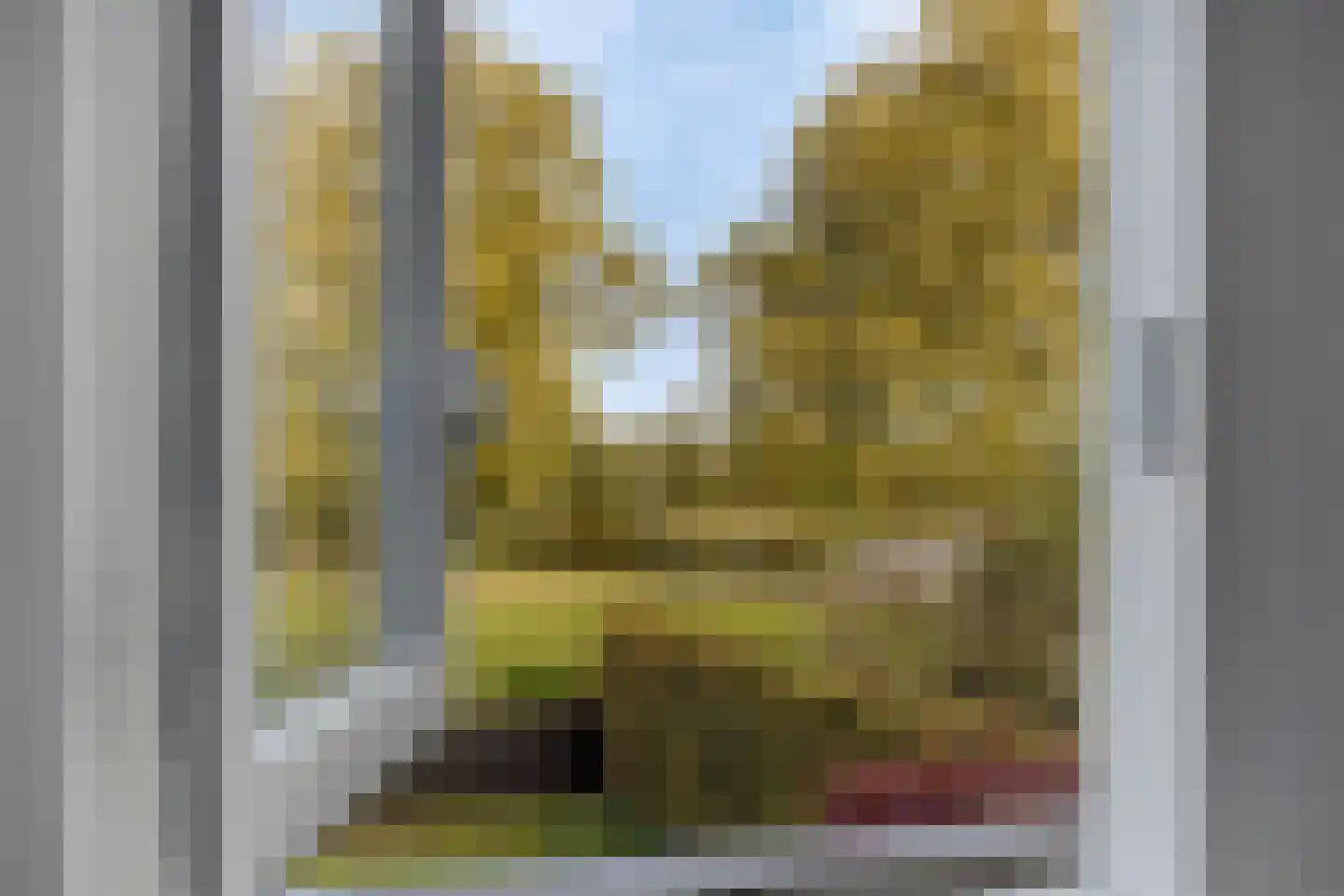 Newtonlaan 52 Vlijmen thumbnail 53