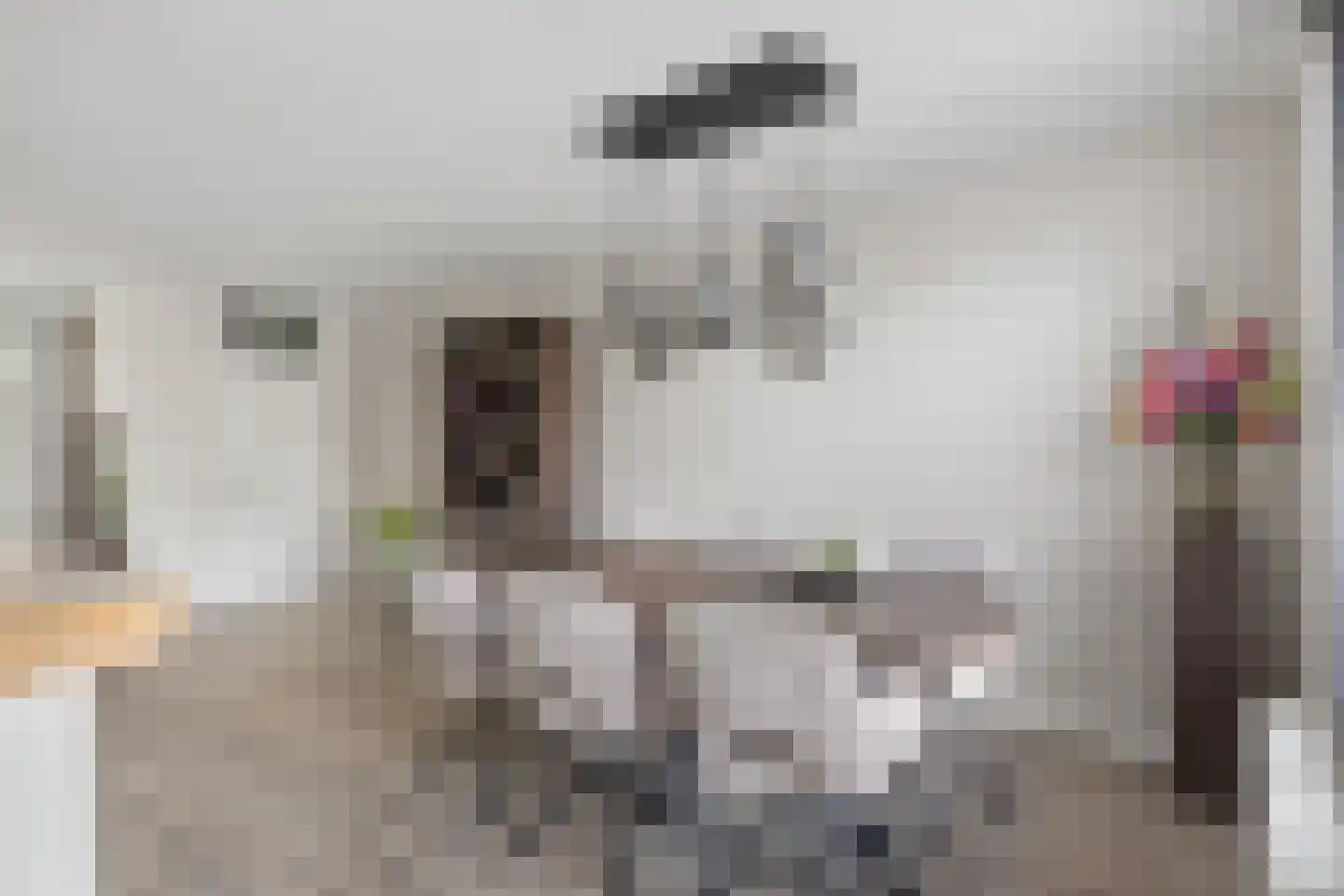Newtonlaan 58 Vlijmen thumbnail 11