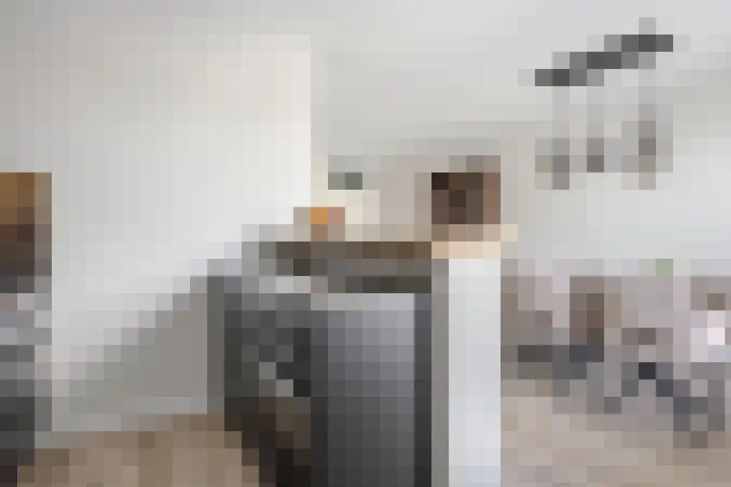 Newtonlaan 58 Vlijmen thumbnail 15