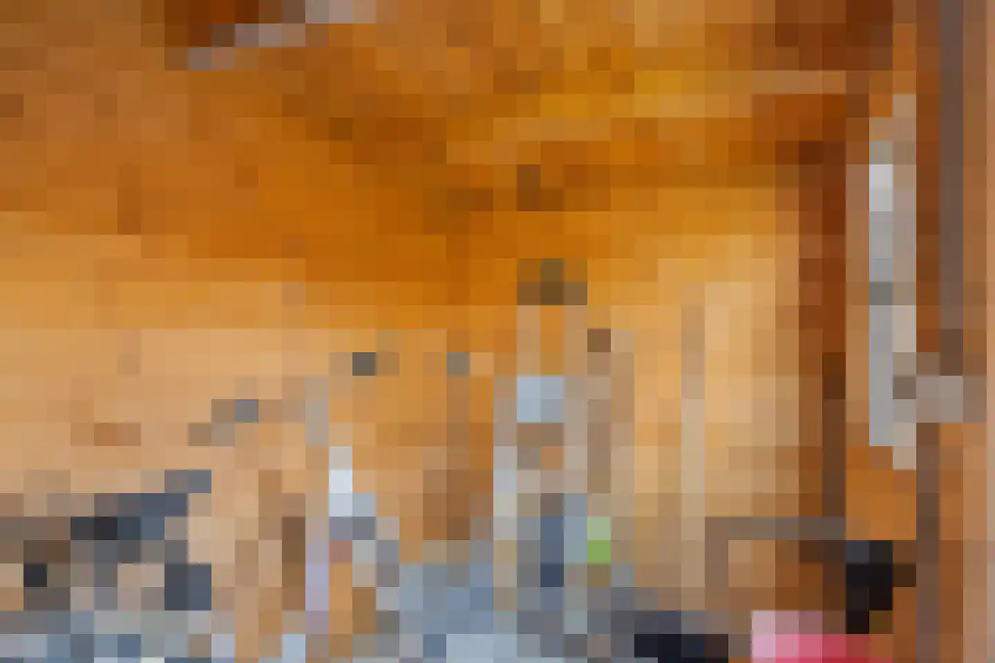 Newtonlaan 58 Vlijmen thumbnail 22