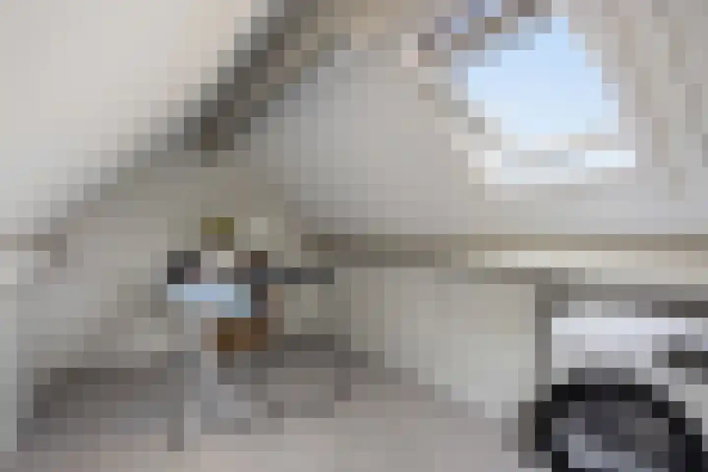 Newtonlaan 58 Vlijmen thumbnail 33