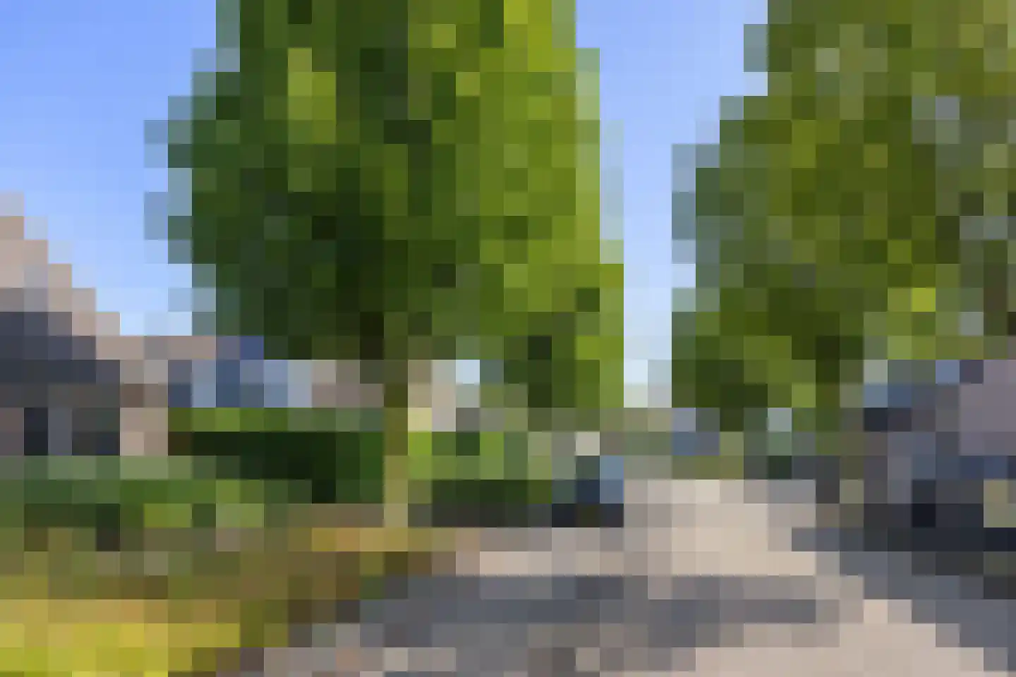 Newtonlaan 58 Vlijmen thumbnail 38