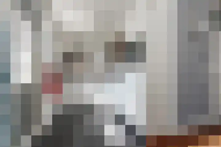 Newtonlaan 59 Vlijmen thumbnail 11
