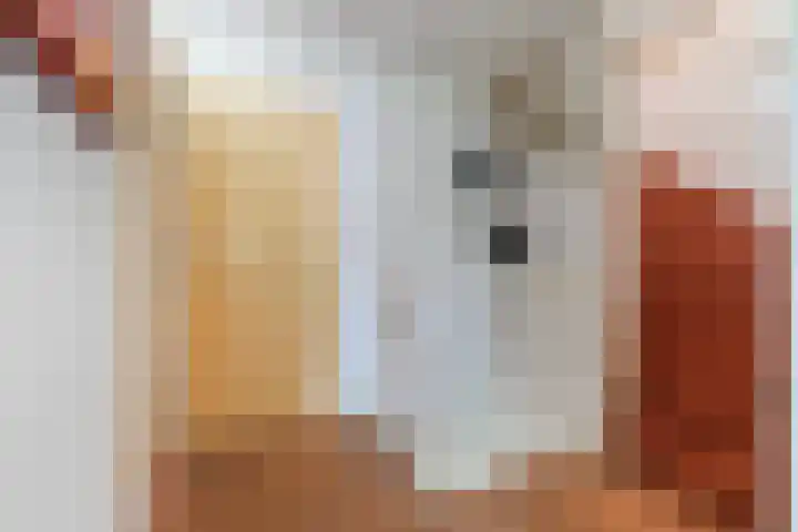Newtonlaan 59 Vlijmen thumbnail 12