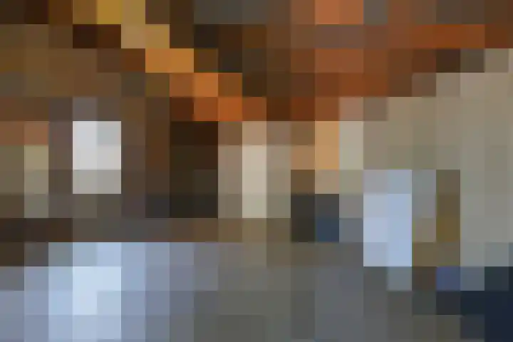 Newtonlaan 59 Vlijmen thumbnail 27