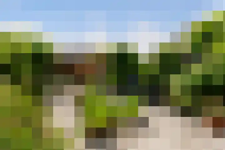 Newtonlaan 59 Vlijmen thumbnail 29